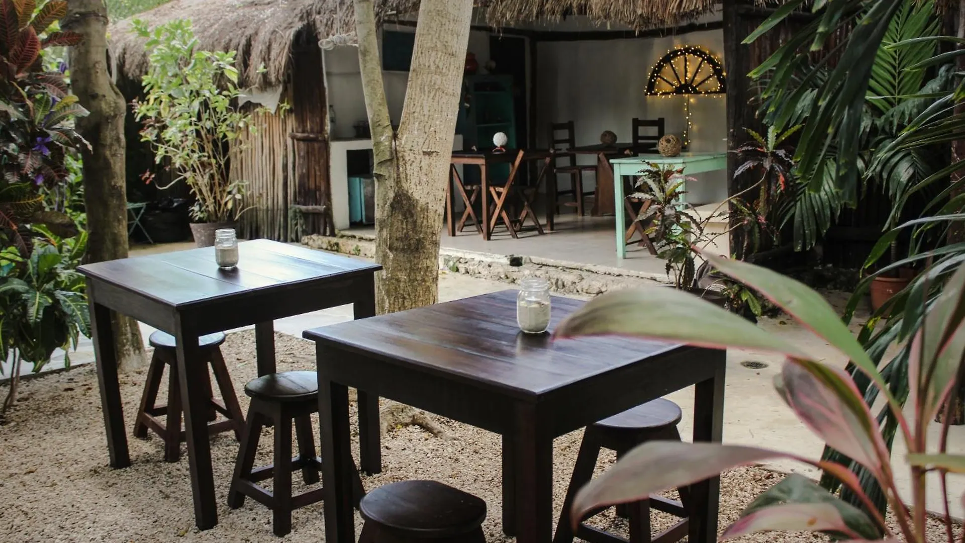 Secret Garden Tulum Hotel contacts